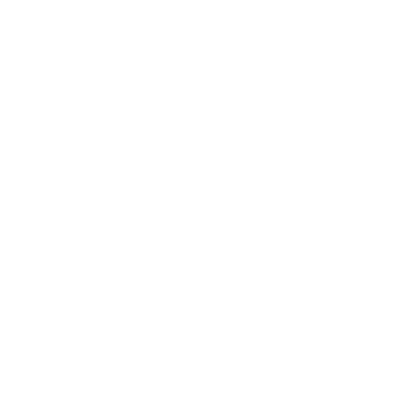 Skiset